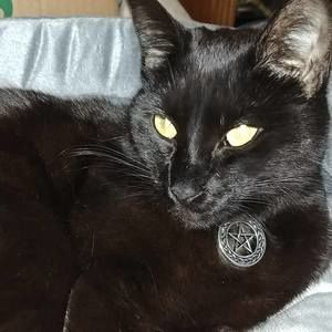 Meet your Posher, Kim